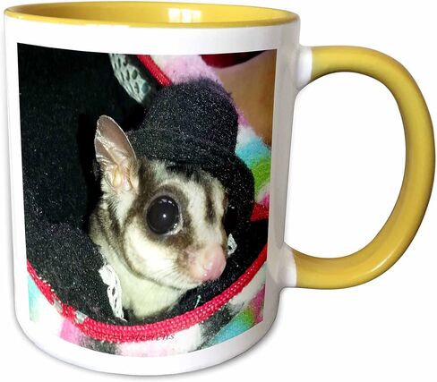 3dRose Sugar Glider Wearing A Top Hat Peaking Out of A Pouch Two Tone Mug, 11 oz, Black in Saudi Arabia