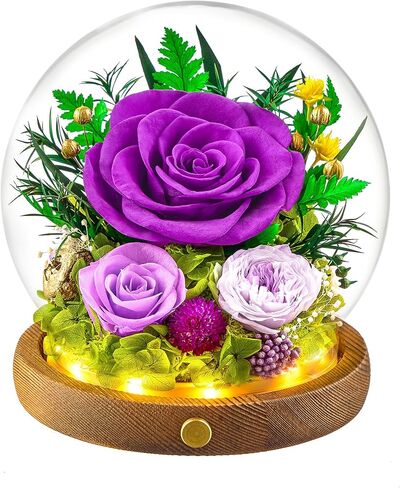Preserved Flowers in Glass Ball with Led Strip 2-Piece Forever Real Roses Gift for Women on Anniversary, Christmas, Valentine's Day (Light Purple) in Saudi Arabia