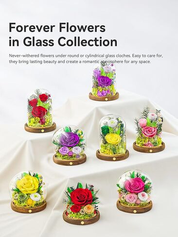 زهور محفوظة في كرة زجاجية مع شريط LED، قطعتان من الورود الحقيقية إلى الأبد هدية للنساء في الذكرى السنوية، وعيد الميلاد، وعيد الحب (أرجواني فاتح) in Kuwait