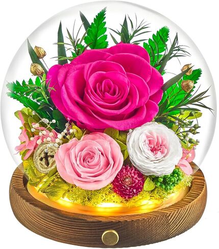 زهور محفوظة في كرة زجاجية مع شريط LED، قطعتان من الورود الحقيقية إلى الأبد هدية للنساء في الذكرى السنوية، وعيد الميلاد، وعيد الحب (أرجواني فاتح) in Kuwait