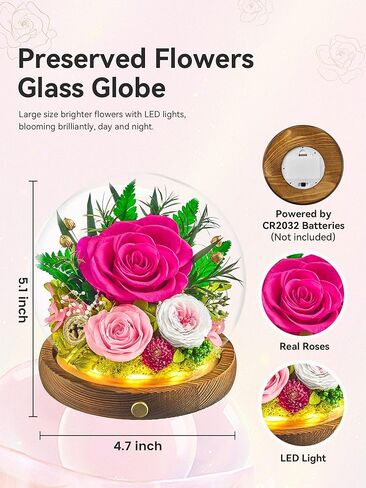 زهور محفوظة في كرة زجاجية مع شريط LED، قطعتان من الورود الحقيقية إلى الأبد هدية للنساء في الذكرى السنوية، وعيد الميلاد، وعيد الحب (أرجواني فاتح) in Kuwait