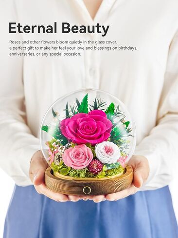 زهور محفوظة في كرة زجاجية مع شريط LED، قطعتان من الورود الحقيقية إلى الأبد هدية للنساء في الذكرى السنوية، وعيد الميلاد، وعيد الحب (أرجواني فاتح) in Kuwait