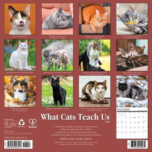 Willow Creek Press، تقويم حائط What Cats Teach Us 2026، مقاس 12 بوصة × 12 بوصة، تقويم لمدة 18 شهرًا مع غلاف مثبت in Kuwait