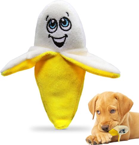 PetSport 3 Pack of Tiny Tots Little Hedgie Plush Dog Toys with Squeakers, 4.7 Inch in Saudi Arabia