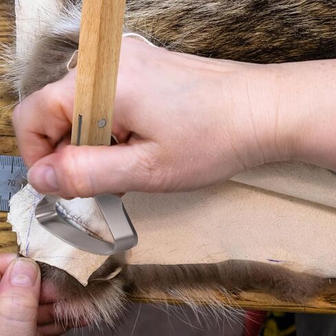 Hide Scraper Fleshing Tool, Stainless Steel Fleshing Knife with Wooden Handle Hide Tanning Kit Taxidermy Supplies Leather Working Skinning Making Tool for Fur Pelt Handling in Saudi Arabia