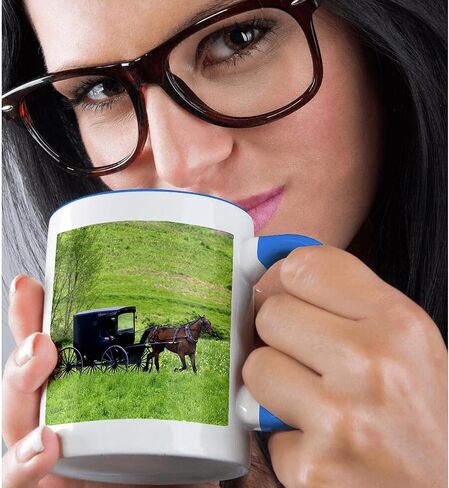 3dRose Amish Farm with Horse Buggy Near Berlin, Ohio-US36 DFR0018-David R Frazier Two Tone Mug, 11 oz, Blue/White in Saudi Arabia