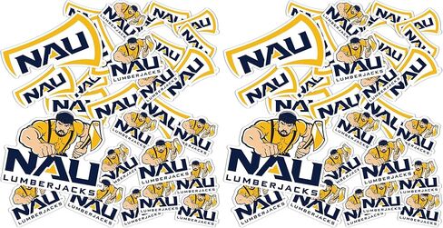 Desert Cactus Northern Arizona University Stickers Lumberjacks NAU Vinyl Decals Laptop Water Bottle Car Scrapbook T1 (Type 1-1) in Saudi Arabia