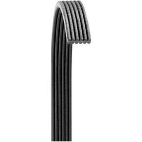 حزام دايكو 6080570 سيربنتين (POLY RIB® GOLD LABEL®) in Kuwait