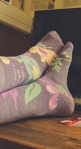 مجنون الكلب تي شيرت المرأة الشتائم يساعد الجوارب مضحك لعنة كلمة شقي الساخرة الزهور الأحذية in Kuwait