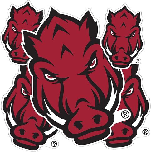 Desert Cactus University of Arkansas Razorbacks U of A Hogs Stickers Vinyl Decals Laptop Water Bottle Car Scrapbook T3 (Type 3-1) in Kuwait