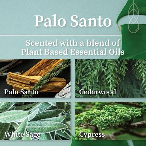 Hemlock Park Room Spray Refill | Plant Based Oils Naturally Scent Your Space (16 oz Refill, Sea Salt Orchid) in Saudi Arabia