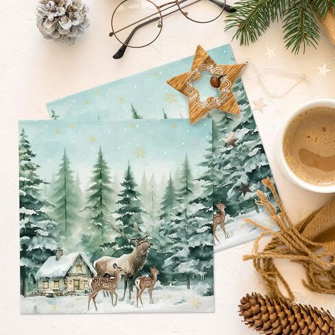 40 قطعة من المناديل الورقية لعيد الميلاد، مناديل عشاء ندفة الثلج لعيد الميلاد، زينة عيد الميلاد في بلاد العجائب الشتوية، زينة ندفة الثلج منديل ديكور شتوي لعيد الميلاد in Kuwait