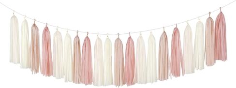 Champagne-Gold Beige Boho Party-Decorations Tassel-Garland - 20pc Fall Baby Shower Birthday Wedding Bridal Tassel,Autumn Engagement Bachelorette Banner Streamers,Neutral Rustic Backdrop Decor Panduola in Saudi Arabia