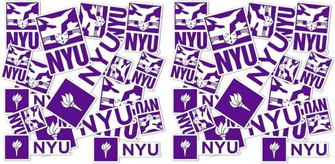 Desert Cactus New York University Stickers Violets Vinyl Decals Laptop Water Bottle Car Scrapbook T1 (Type 1-1) in Saudi Arabia
