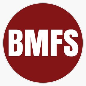 Magnet Bmfs Magnet Bumper Sticker Car Magnet Flexible Reuseable Magnetic Vinyl 5" in Kuwait