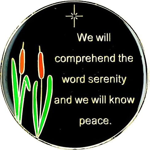 Recovery Line 16 Year The Dragonfly Promises AA Medallion Alcoholics Anonymous Chip, Token, Coin, Purple in Saudi Arabia