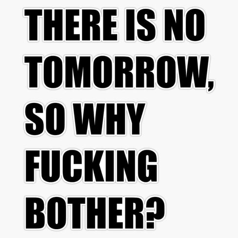 There Is No Tomorrow So Why Bother? Sticker Vinyl Waterproof Sticker Decal Car Laptop Wall Window Bumper Sticker 5" in Saudi Arabia