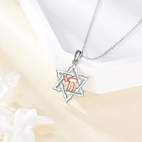 AXELUNA Star of David Necklace Sterling Silver Butterfly Magnetic Folding Hexagram Pendant Necklace Jewellery for Women in Kuwait