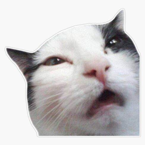 غير مريح القط ملصق الفينيل ملصقات للسيارة متعددة الأشكال ملصق مائي مقاوم للماء 5" in Kuwait