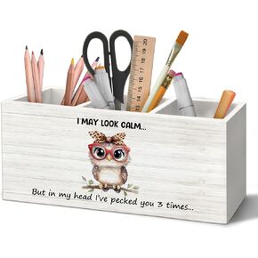 Funny Owl Pen Holder Organizer for Desk Accessories, I May Look Calm Funny Wooden Box Sign Desk Decorations for Home Bedroom Office Decor, Owl Lovers Gifts for Women in Kuwait