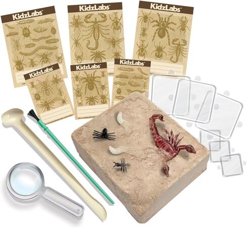 4M Creepy Crawly Digging Kit - Educational Fossil Excavation Kit for Kids Ages 5+ - Unearth Realistic Toy Insects and Arachnids with Fun Facts & Tools in Saudi Arabia
