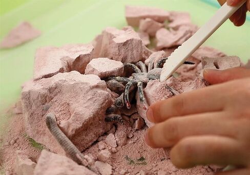4M Creepy Crawly Digging Kit - Educational Fossil Excavation Kit for Kids Ages 5+ - Unearth Realistic Toy Insects and Arachnids with Fun Facts & Tools in Saudi Arabia