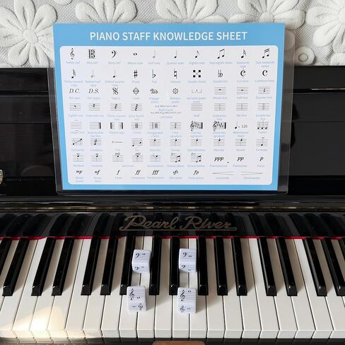 Piano Theory Chart and Large 25mm Music Theory Dice for Beginner Learner Learning Music, Educational Game for Quick Memorization & Fun Learning (4pcs Dice and Piano Theory Chart) in Saudi Arabia