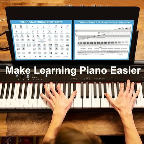 Piano Theory Chart and Large 25mm Music Theory Dice for Beginner Learner Learning Music, Educational Game for Quick Memorization & Fun Learning (4pcs Dice and Piano Theory Chart) in Saudi Arabia
