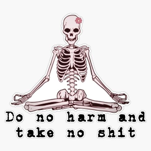 Do No Harm Take No Shit Positivity Skeleton Sticker Vinyl Waterproof Sticker Decal Car Laptop Wall Window Bumper Sticker 5" in Saudi Arabia