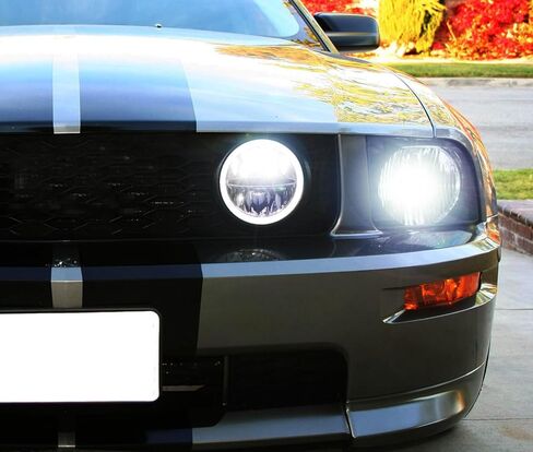 iJDMTOY 30W High Power Rally Racing Style Grille Fit LED Halo Ring Driving Fog Lamp Replacement Compatible With 2005-2009 Gen5 Ford Mustang GT Deluxe, Premium, or Shelby in Saudi Arabia