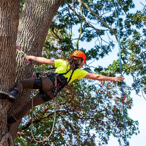 حبل تزوير مزدوج مضفر من Arborist، حبل ثور قوي 1/2 بوصة × 100 قدم، حبل ثابت من البوليستر 48 جديلة لأعمال الأشجار، والسحب، والسحب، والتأرجح (أزرق) in Kuwait