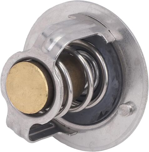 New Thermostat & O-Ring Fits Yamaha VIKING VI EPS 2015-2023 2025 in Saudi Arabia