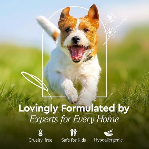 مزيل بقع ورائحة الحيوانات الأليفة من بوراسي - مزيل رائحة الحيوانات الأليفة للمنزل - لا حاجة للشطف - يعمل بالنباتات - مزيل بقع الحيوانات الأليفة الآمن والفعال، الخيار والنعناع 25oz 2pack in Kuwait