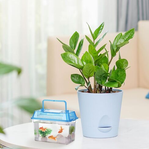 PRETYZOOM 5 قطع صغيرة محمولة خزان الأسماك Terrarium حاويات صغيرة زجاج خزان الأسماك الحيوانات الأليفة خزان الأسماك المحمولة حوض السمك خزان السلاحف السلحفاة المعيشة خزان تربية حالة البلاستيك الزواحف صندوق تخزين in Kuwait