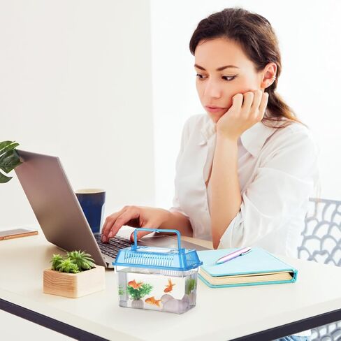 PRETYZOOM 5 قطع صغيرة محمولة خزان الأسماك Terrarium حاويات صغيرة زجاج خزان الأسماك الحيوانات الأليفة خزان الأسماك المحمولة حوض السمك خزان السلاحف السلحفاة المعيشة خزان تربية حالة البلاستيك الزواحف صندوق تخزين in Kuwait