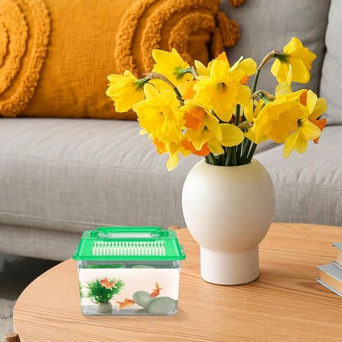 PRETYZOOM 5 قطع صغيرة محمولة خزان الأسماك Terrarium حاويات صغيرة زجاج خزان الأسماك الحيوانات الأليفة خزان الأسماك المحمولة حوض السمك خزان السلاحف السلحفاة المعيشة خزان تربية حالة البلاستيك الزواحف صندوق تخزين in Kuwait