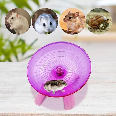 Litewood الهامستر الطائر الصحن عجلة لعبة عجلة الغزل الصامتة للجرذ الهامستر القزم جربيل الفئران (الوردي) in Kuwait