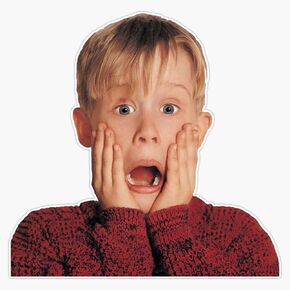 Home Alone Bumper Sticker Window Vinyl Decal 5" in Kuwait