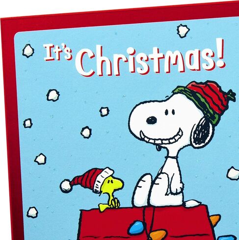 تشكيلة بطاقات عيد الميلاد الفول السوداني من هولمارك، سنوبي ووودستوك (6 بطاقات مع مظاريف، تصميمان) in Kuwait