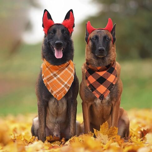 Kytely Fall Dog Bandana 2 Pack, Autumn Thanksgiving Dog Bandanas Large, Orange Plaid Pet Scarf for Boy and Girl, Holiday Bandana Triangle Bibs for Medium and Large Dogs in Kuwait