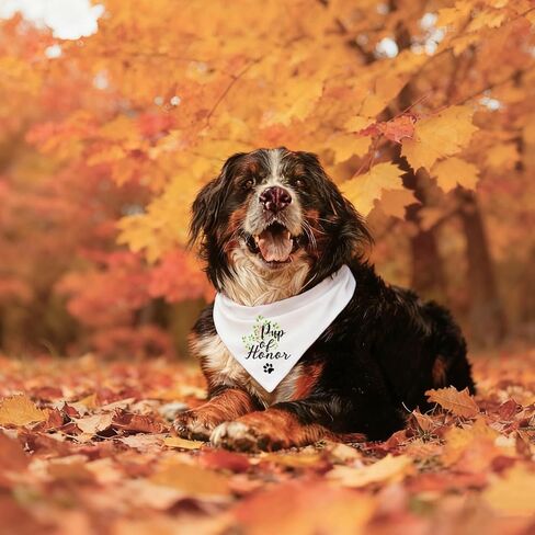 YROVWENQ Family Kitchen Promoted to Big Sister Red Plaid Dog Bandana, Gender Reveal Photo Prop Triangle Pet Scarf Scarves Decorations Accessories, Pet Scarves Dog Lovers Owner Gift in Kuwait