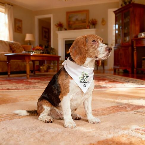 YROVWENQ Family Kitchen Promoted to Big Sister Red Plaid Dog Bandana, Gender Reveal Photo Prop Triangle Pet Scarf Scarves Decorations Accessories, Pet Scarves Dog Lovers Owner Gift in Kuwait