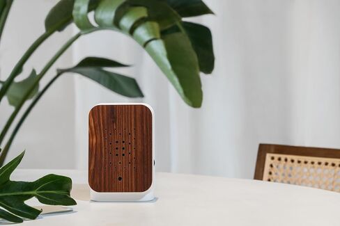 RELAXOUND Original Junglebox Tropic - Modern Nature Sound Box - Relaxing Exotic Jungle Sounds - Motion Sensor with Sound - Relaxing Tool in Saudi Arabia