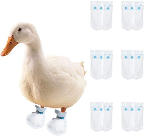Duck Shoes for Real Ducks Chickens 6-Pair Waterproof & Disposable Booties with Self-Adhesive Bandage for Waterfowl Wound Foot Care Bumblefoot (Waterproof Version,Medium) in Kuwait