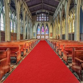 Thickened Anti Slip Red Carpet Runner for Party, Red Carpet Runner Double-Sided Tape, Holywood Red Carpet Runner Ceremony Parties and Events Lndoor or Outdoor Decoration 2.3×9.8ft