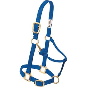 Weaver Leather Nylon Adjustable Draft Horse Halter, 1", Average, Blue
