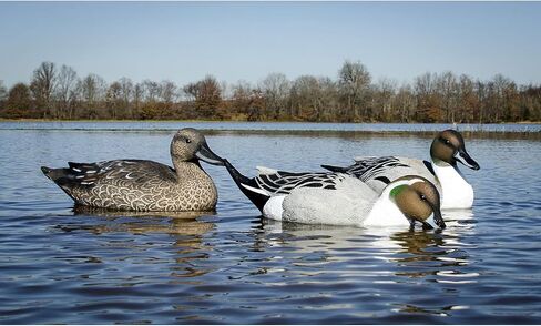 Higdon Outdoors Battleship Pintail Duck Decoys, All Drakes, Foam-Filled in Saudi Arabia