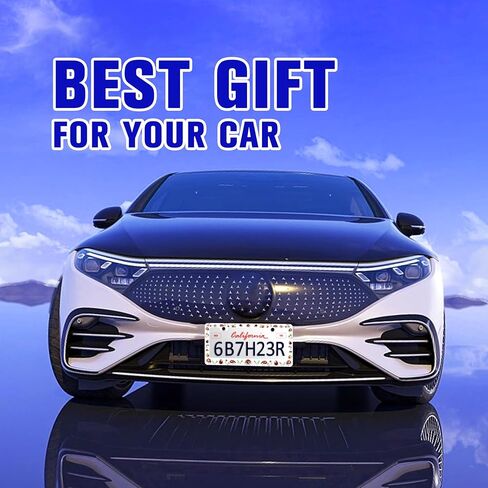 2 Pack Red Ladybug License Plate Frame Animal Flowers License Plate Holders Funny Stainless Steel Auto Accessory Bracket 2 Hole with Screws Universal Us Car License Plate Frames 6x12 in for Women Men in Saudi Arabia