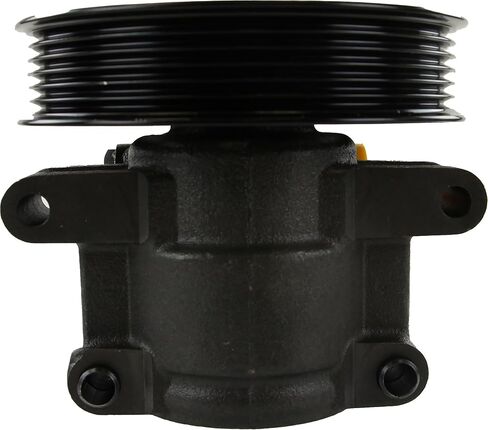 مضخة توجيه كهربائية من اختيار الميكانيكا لـ 2000-2002 Ford Focus (2.0L 4 سلندر) (جديدة، مع بكرة، بدون خزان، مع أنبوب إرجاع) in Saudi Arabia