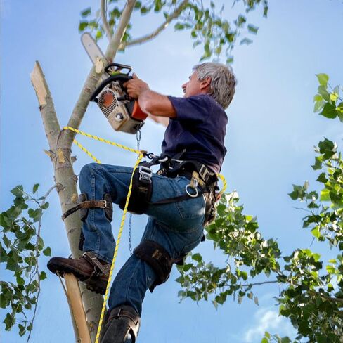 1/2 بوصة حبل مضفر Arborist حبل تسلق الأشجار 120ft البوليستر حبل ثابت لشجرة سوينغ العمل التخييم الإنقاذ المشي لمسافات طويلة تسجيل in Saudi Arabia